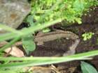 img_2014_small.jpg