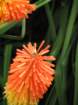 img_2030_small.jpg