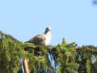 img_3543_small.jpg