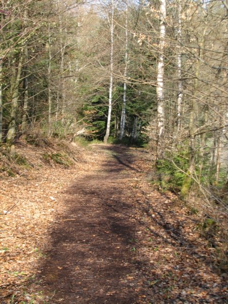 img_3548.jpg