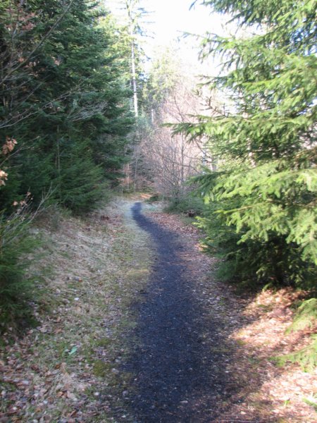 img_3550.jpg
