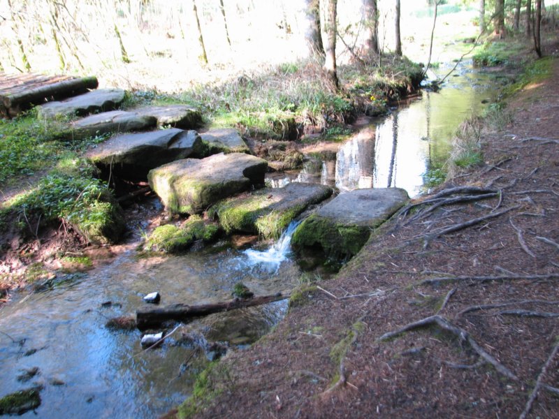 img_3556.jpg