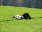 img_3211_small.jpg