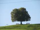 img_3240_small.jpg
