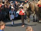 img_3363_small.jpg