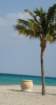 dsc00578_small.jpg
