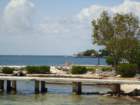 dsc00585_small.jpg