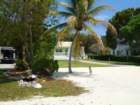 dsc00587_small.jpg