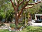 dsc00598_small.jpg