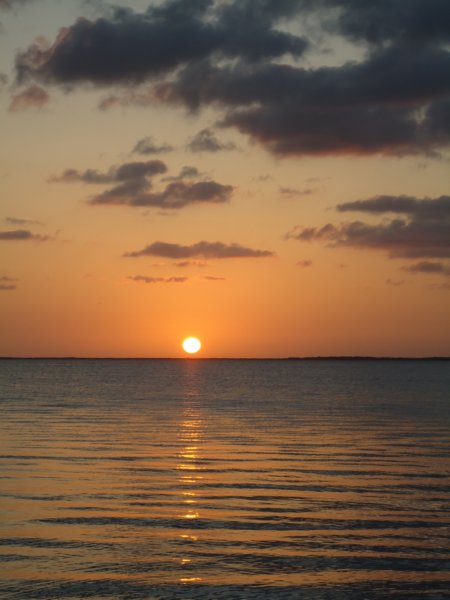 dsc00635.jpg