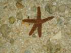 dsc00642_small.jpg