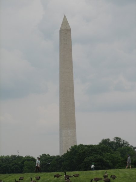 img_3089.jpg