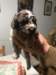 lissy03022021_small.jpg