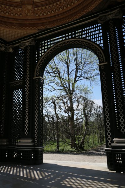 r19a2576.jpg