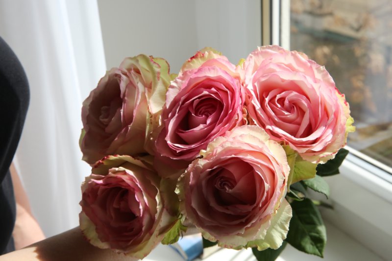 r19a3047.jpg