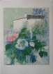 dsc09722_small.jpg