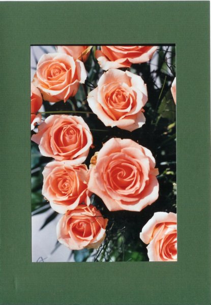 makro007_6_eos2.jpg