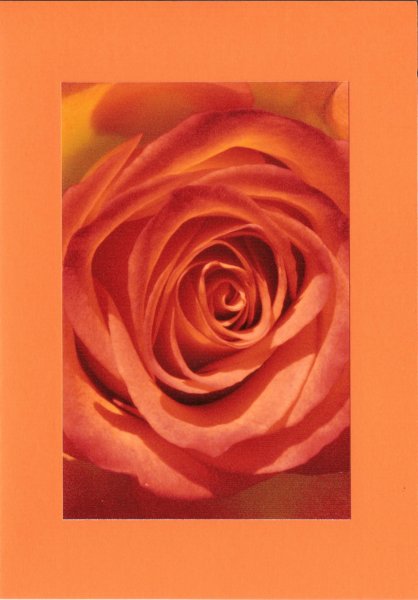 makro10422.jpg