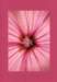 makro247_small.jpg