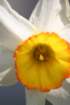 img_0014_small.jpg