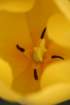 img_0051_small.jpg